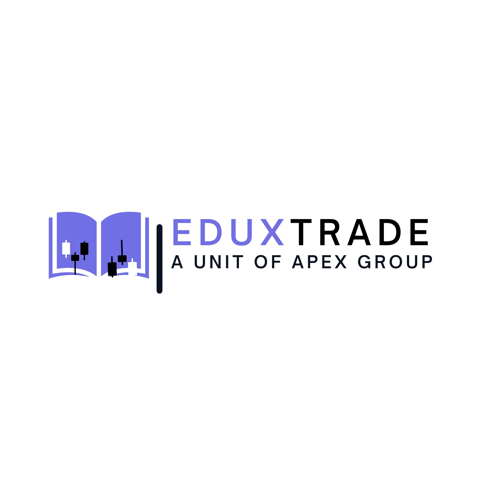 stock market course online